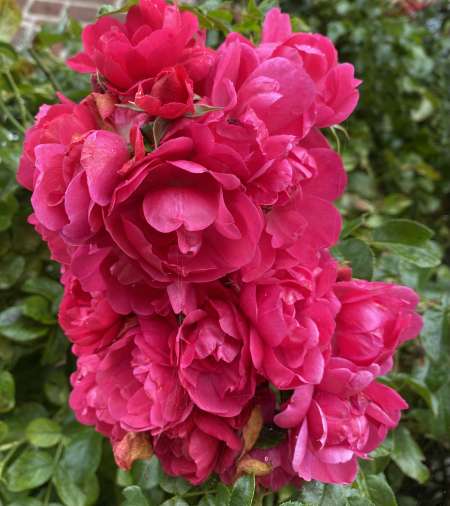 Photo ads/2597000/2597156/a2597156.jpg : Soumis Open mind sans tabou reçoit femme ou trans