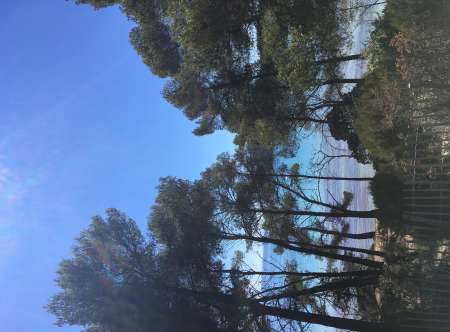 Photo ads/2599000/2599322/a2599322.jpg : Homme métro, cherche compagne