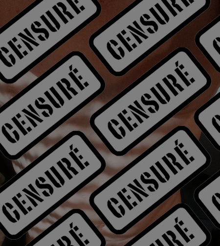 Photo ads/2607000/2607010/a2607010_censure_vol.jpg : On s'amuse virtuellement