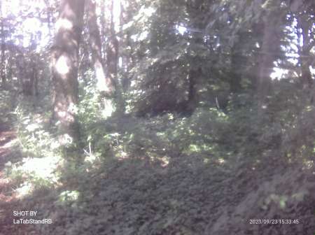 Photo ads/2613000/2613525/a2613525.jpg : Femmes disponible pour rencontre suivie