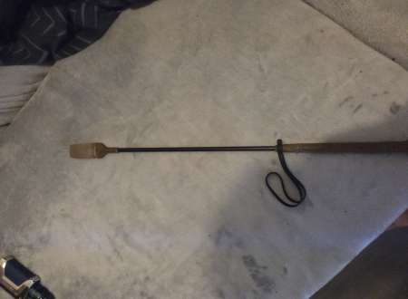 Photo ads/2615000/2615736/a2615736.jpg : Garçon dominateur pour tout le monde