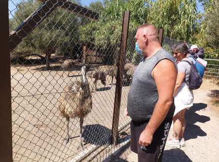 Photo ads/2625000/2625864/a2625864.jpg : Moment de tendresse complice