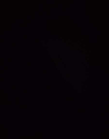 Photo ads/2626000/2626423/a2626423.jpg : Métis pour F ou candau plan régulier.