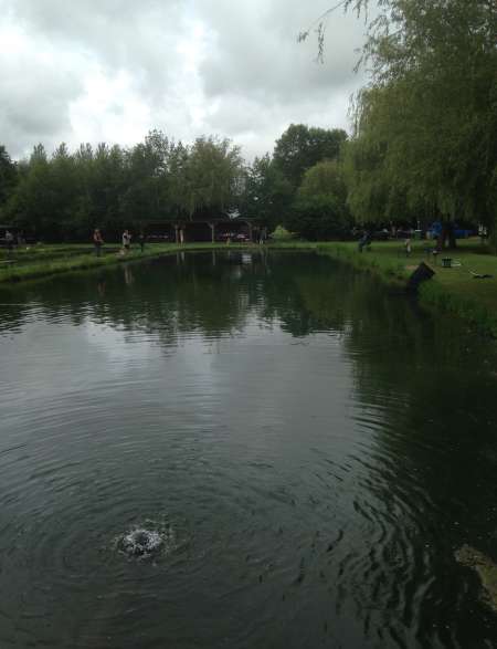 Photo ads/2626000/2626994/a2626994.jpg : parc et parking pour camping car