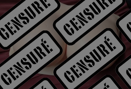 Photo ads/2640000/2640970/a2640970_censure.jpg : Fausse poitrine réaliste