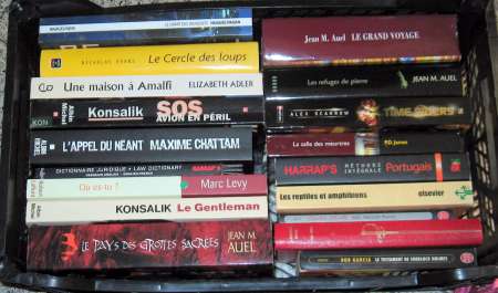 Photo ads/2642000/2642152/a2642152.jpg : 1 caisse de livres + 1 puzzle.