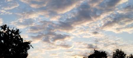 Photo ads/2647000/2647760/a2647760.jpg : Initiation sexe jeune femme juste majeure