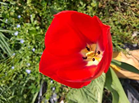 Photo ads/2649000/2649047/a2649047.jpg : Jeune femme cherche plaisirs discrets entre femmes