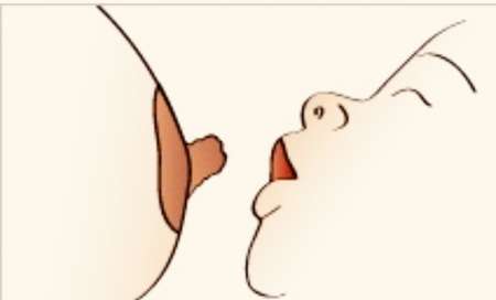 Photo ads/2653000/2653226/a2653226.jpg : Monsieur pour téter et soulager vos seins