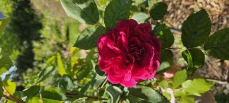 Photo ads/2658000/2658109/a2658109.jpg : Homme recherche h,f ou couple pour ondinisme.