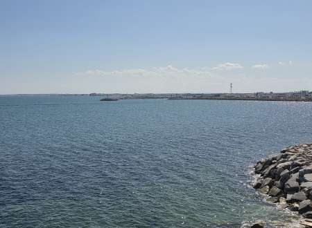 Photo ads/2659000/2659561/a2659561.jpg : Homme a votre service