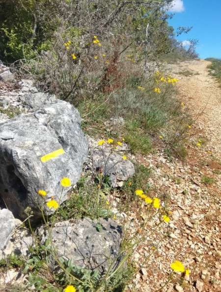 Photo ads/2659000/2659770/a2659770.jpg : rencontre discrète avec femme mature