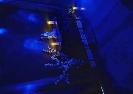 Photo ads/2660000/2660112/a2660112.jpg : Massages sensuels bien être