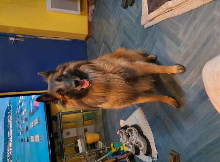 Photo ads/2660000/2660805/a2660805.jpg : Homme dominant disponible pour réel